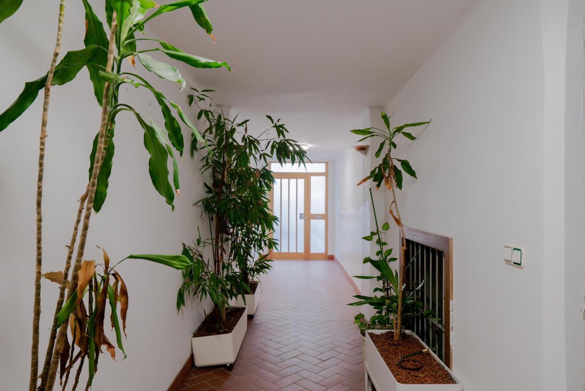 Bessemer - Charming Cottage With Garden Βιέννη Εξωτερικό φωτογραφία